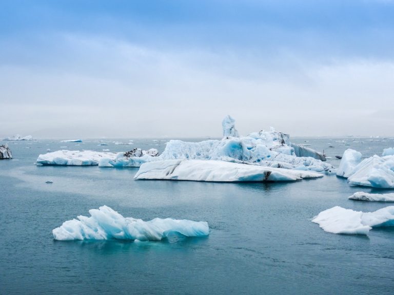 Can we Combat Climate Change By Using the Power of Our Wallets?