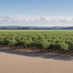 HSBC Partners With Google