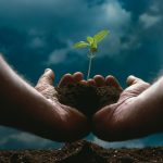 Delta Capita, Kana Earth and Tashinga Launch Environmental Market Infrastructure Following UN Climate Summit