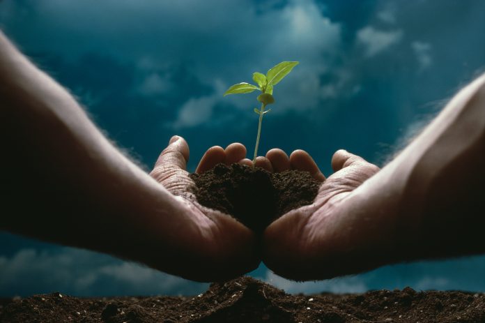 Delta Capita, Kana Earth and Tashinga Launch Environmental Market Infrastructure Following UN Climate Summit