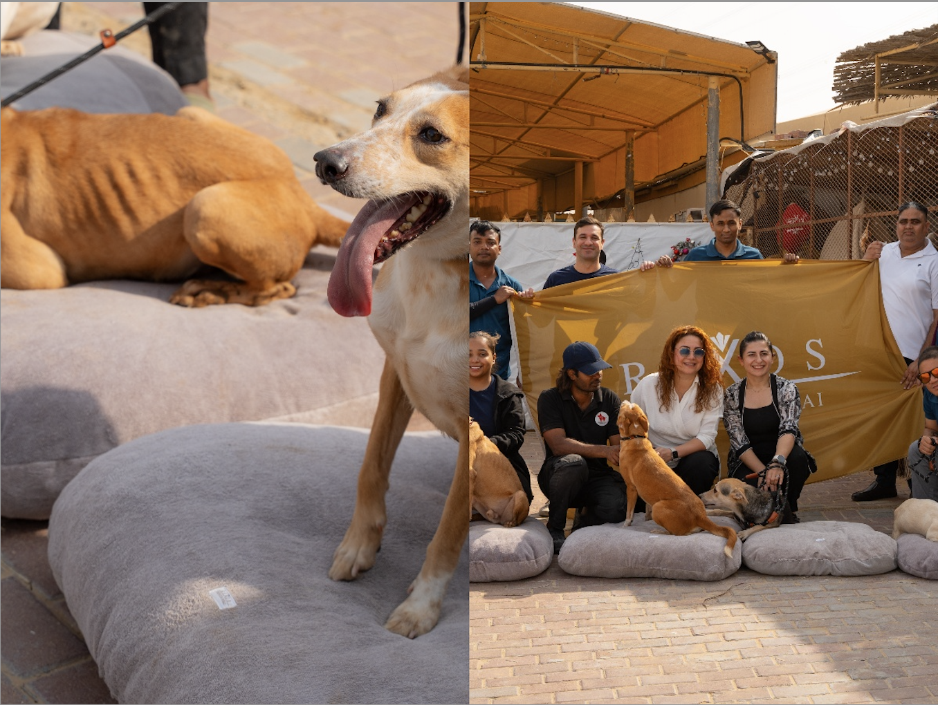 Rixos Premium Dubai Marks the New Year with Sustainability and Compassion