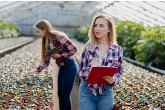 Arkansas Governor Demands Legal Review of Canadian Fertilizer Exports