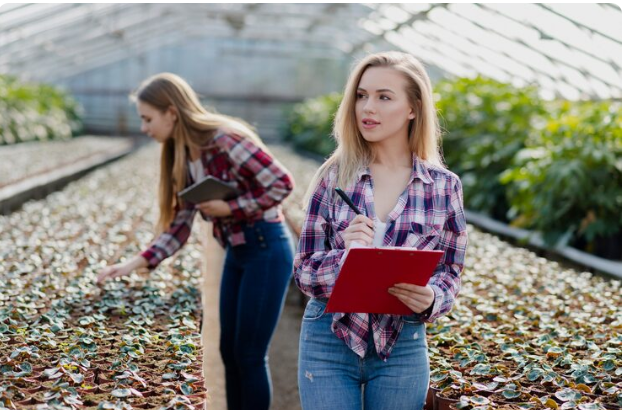 Arkansas Governor Demands Legal Review of Canadian Fertilizer Exports Arkansas Governor Demands Legal Review of Canadian Fertilizer Exports