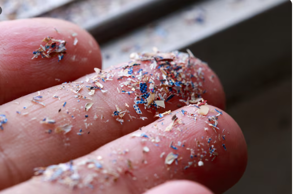 Microplastics in the Prostate , NYU Langone’s Terrifying Discovery About the Human Body