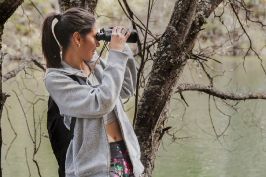 Birdwatching’s Brain Benefit