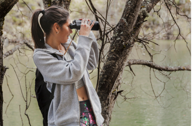 Birdwatching’s Brain Benefit