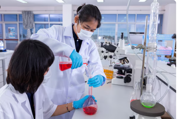 XDR Typhi Research 2022