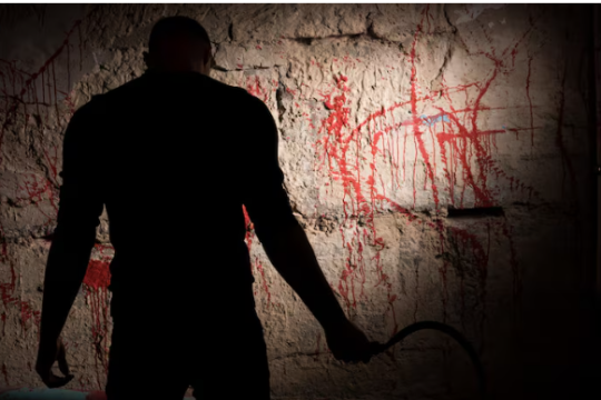 The Punisher: One Last Kill