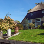 Ireland Back Garden Homes