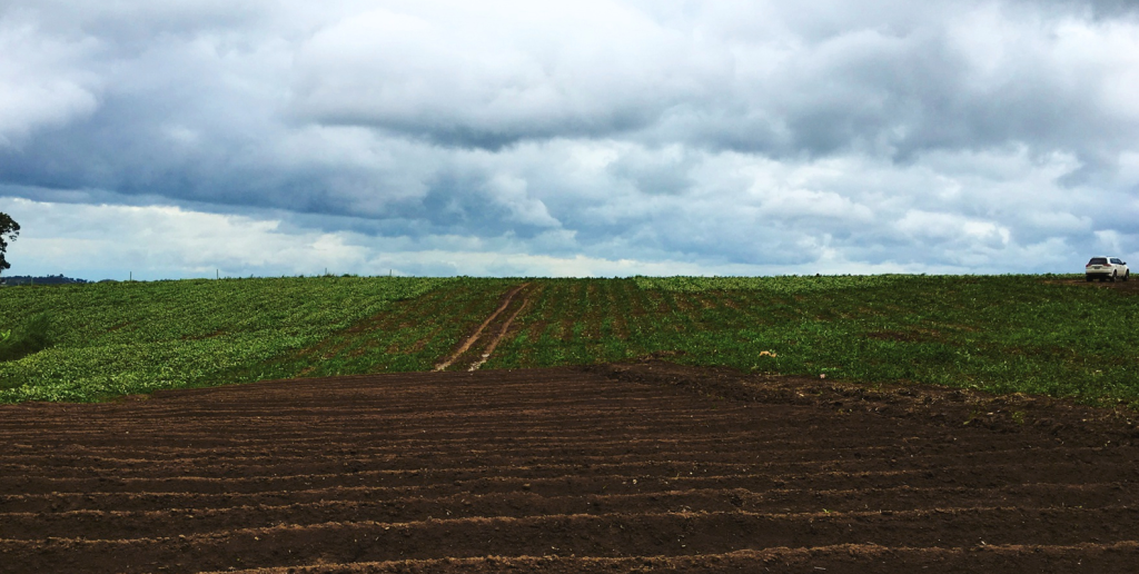 Georgia Agricultural Land Condemnation: When "Public Good" Means Taking a Farmer's Life Work Georgia Agricultural Land Condemnation: When "Public Good" Means Taking a Farmer's Life Work