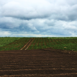 Georgia Agricultural Land Condemnation: When "Public Good" Means Taking a Farmer's Life Work