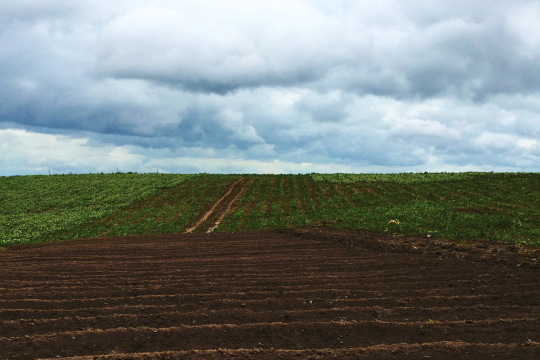 Georgia Agricultural Land Condemnation: When "Public Good" Means Taking a Farmer's Life Work