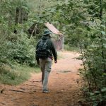 Hiker with a backpack walking along a forest trail on a designated path